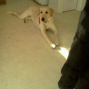 Meet your Posher, Kat